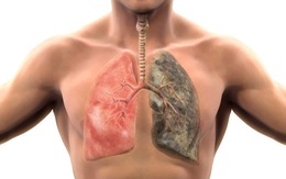 20 phút sau điếu thuốc cuối cùng, cơ thể bạn sẽ phản ứng ra sao?