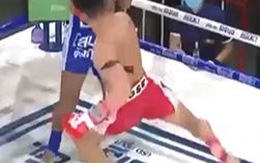 Võ sĩ tung cú đá 'ngàn cân' hạ knock out đối thủ