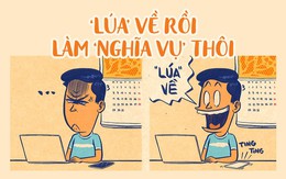 'Lúa' về rồi, làm nghĩa vụ thôi