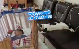 Chú mèo đẩy nôi ru em bé ngủ