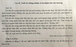 Đề thi học sinh giỏi văn TP.HCM hỏi về 'tuổi trẻ chông chênh'