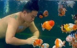 Ảnh vui 9/4: Ngỡ ngàng chú cá dọn bể siêu to khổng lồ!