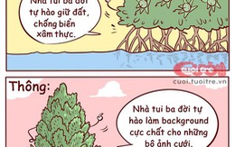 Thông Đà Lạt: Nhà tôi 3 đời làm background