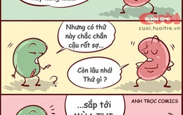 Đậu đỏ khỏe hơn đậu xanh