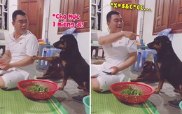 Chú chó tủi thân khi xin miếng ăn bị Sen mắng
