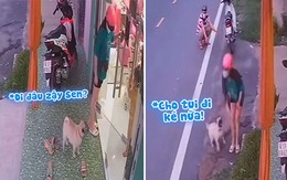 Sen khổ sở lừa chó cưng vào nhà để trốn đi chơi