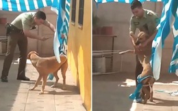 Chú chó ôm cảm ơn viên cảnh sát vì cứu mình