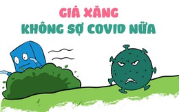 Giá xăng không còn sợ Cô Vít nữa