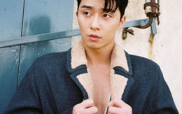 Park Seo Joon lại hứng 'đá' vì tiết lộ hình mẫu vợ tương lai