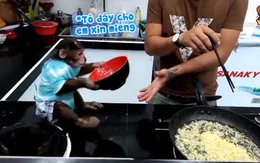 Chú khỉ lấy bát xin chủ cho ăn mì tôm như em bé