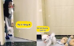 Cún cưng hờn dỗi khi bị sen cho 'ra ở riêng'