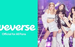 Blackpink gia nhập nền tảng Weverse, Lisa sẽ debut solo vào tháng 8