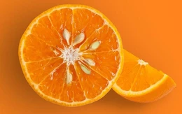 Tác dụng thú vị của 5 loại hạt chúng ta thường vứt đi