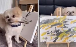Chú chó 7 tuổi vẽ bức tranh được định giá 5.000 bảng