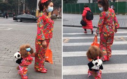 Cún cưng đeo balô cùng cô chủ đi dạo phố