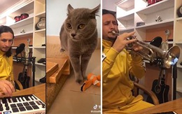 Chú mèo 'than nghèo' bất ngờ được thanh niên phổ nhạc thành ca sĩ