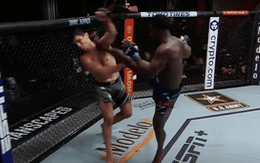 Võ sĩ UFC hạ gục đối thủ bằng cú đá sấm sét