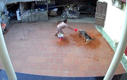 Người phụ nữ dội nước vào đầu 2 chú chó để ngăn chúng đánh nhau
