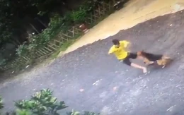 Thanh niên ngồi buồn ở vỉa hè bị chó rượt
