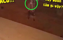 Trộm chó bỏ chạy khi nghe tiếng chủ nhà phát tự động từ camera
