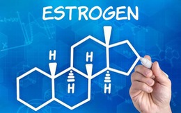 'Estrogen bắt chước' ở ngay trong nhà bạn, hiểm họa cho sức khỏe