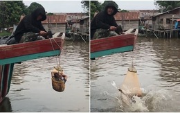 Mắc võng nằm trên sông, chàng trai bị bạn chơi khăm