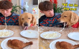 Chó golden cùng cậu chủ thi ăn siêu lầy lội