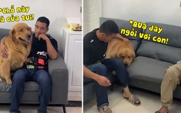 Chú chó không cho người lạ ngồi với sen