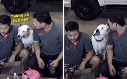 Người đàn ông ngã ngửa vì ngồi nhậu trêu chó