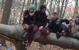Chàng trai kéo cả nhóm bạn ngồi trên cây ngã lộn nhào