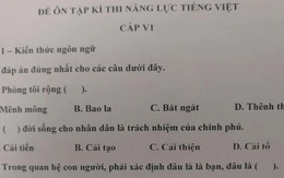 Đề thi năng lực tiếng Việt 'hại não' cho học sinh Nhật