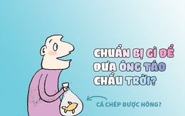 Năm nay ông Táo có cưỡi cá chép về trời?