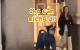 Chú chó bị sen đánh đòn vì chạy theo cô gái để xin ăn