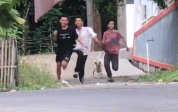 3 thanh niên trêu chọc chó bị rượt chạy té khói