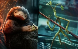 Loạt sinh vật huyền bí 'đốn tim' khán giả với 'Fantastic Beasts' 3