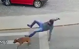 Người đàn ông đi bộ ngã dập mông vì bị chú chó quét trụ