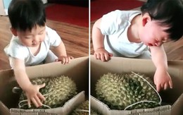 Bé trai mếu máo khi đập tay vào quả sầu riêng