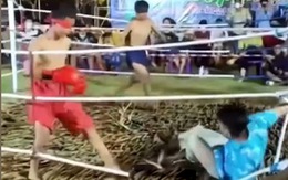 2 võ sĩ boxing bịt mắt đánh trọng tài lên bờ xuống ruộng