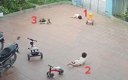 Chú chó bắt chước 2 đứa trẻ nằm xuống sân ăn vạ