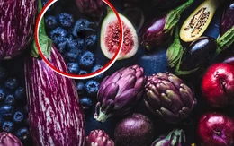 Mắt 10/10 mới nhìn thấy có 1 con chim trong hình!