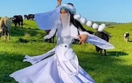 Cô gái đóng giả Hàm Hương múa trên đồng cỏ xanh bị bò rượt