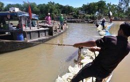 Tháo đập ngăn mặn sông Vĩnh Điện, dân Hội An mất nước sinh hoạt