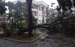 Tâm bão số 12 đổ bộ đất liền, gió cấp 11 tại Nha Trang, Tuy Hòa mất điện