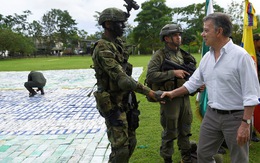 Colombia tịch thu 12 tấn cocaine, trị giá 360 triệu USD
