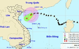 Bão số 11 suy yếu nhanh vì không khí lạnh