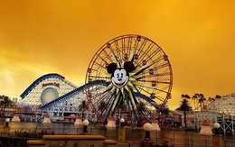 Cháy rừng khiến trời công viên Disneyland như trong phim ma