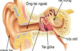 Viêm ống tai ngoài và viêm tai giữa