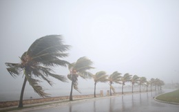 Cuộc di tản tránh bão lớn nhất trong lịch sử bang Florida