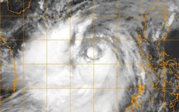 Bão số 10 là bão mạnh nhất trong 10 năm qua