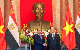 Chủ tịch nước Trần Đại Quang tiếp đón Tổng thống Ai Cập